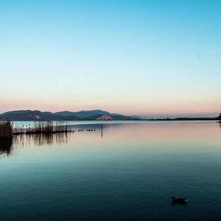 Hotel Butterfly Torre del Lago Puccini Exterior photo