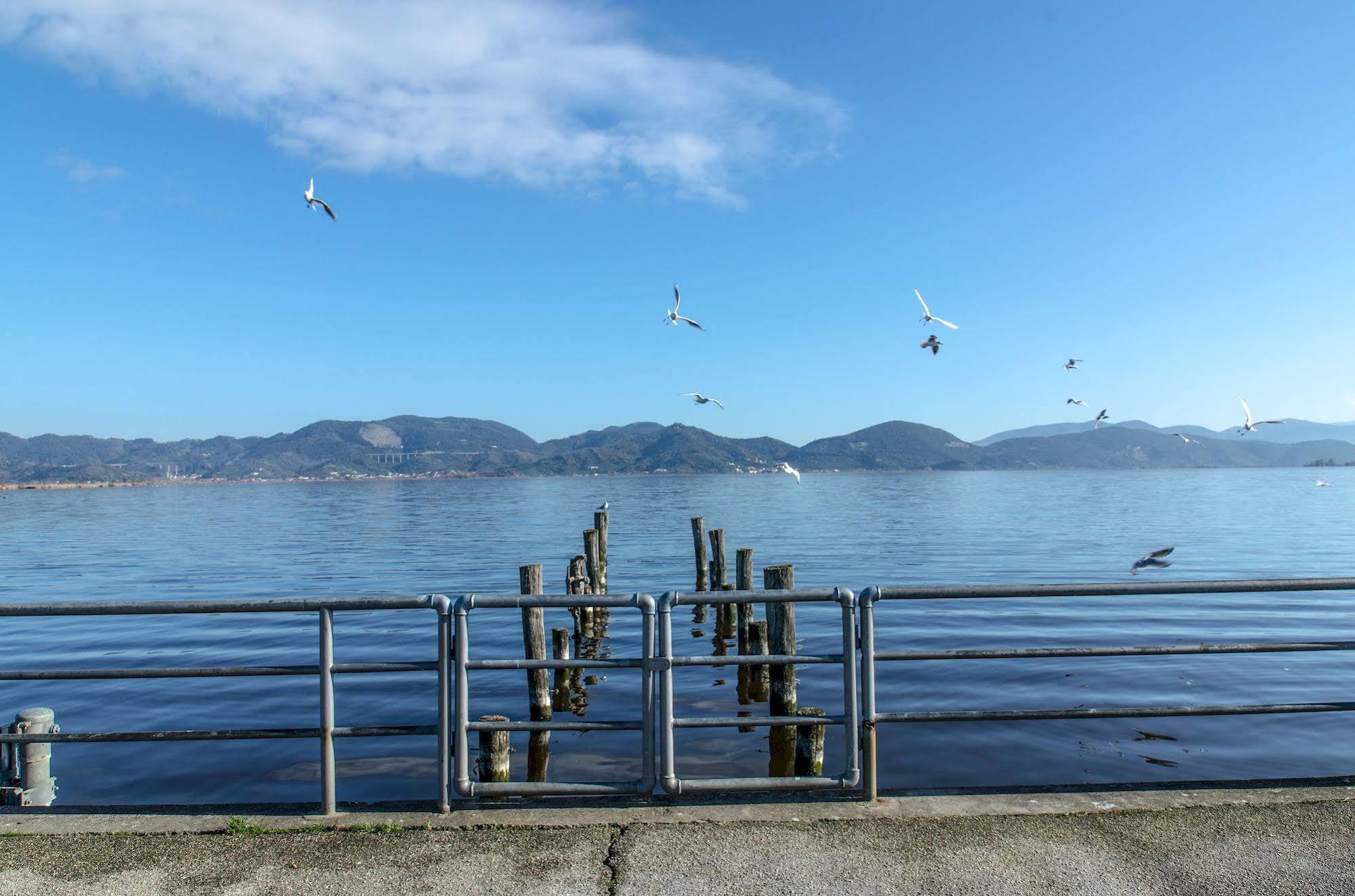 Hotel Butterfly Torre del Lago Puccini Exterior photo